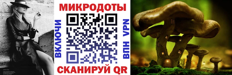 Псилоцибиновые грибы ЛСД  дарк нет какой сайт  Гусиноозёрск  купить   MEGA рабочий сайт 