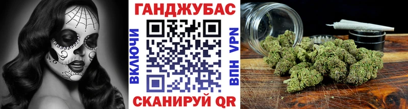 Шишки марихуана план как найти Гусиноозёрск